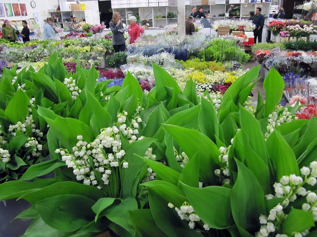 Indoor flower market bustling with vibrant floral colors and various flower stalls.